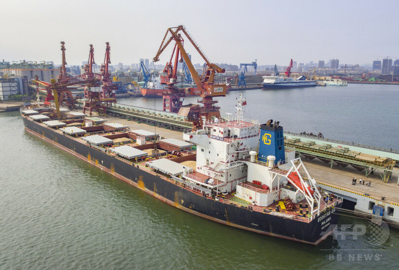 上半期の輸入大豆が昨年比16.1%増加　中国・山東の検疫局