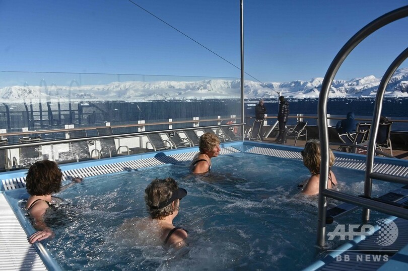 ペンギンに見られながら泳げる島、南極半島沖のハーフムーン島