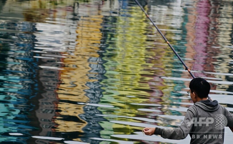 【今日の1枚】水面鮮やか、釣りの腕前も?