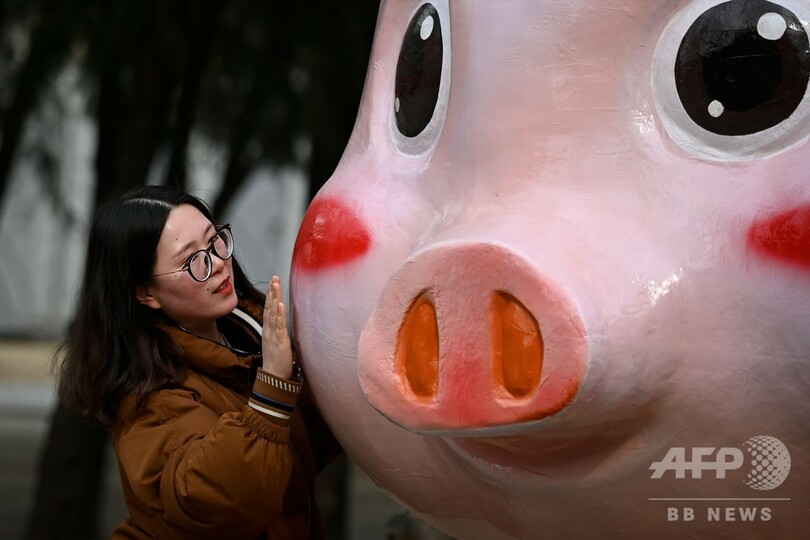 春節到来、中国各地で「豚年」の幕開け祝う