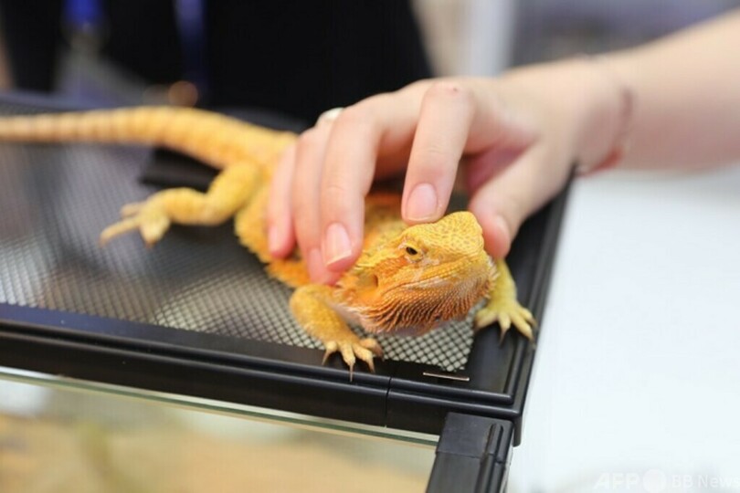 第25回ペットフェアアジアが上海で開催