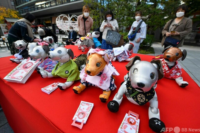「アイボ」の健やかな成長願い七五三 神田明神
