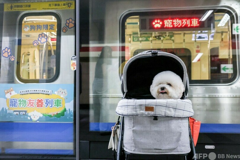 台湾の地下鉄で「ペットフレンドリー列車」運行