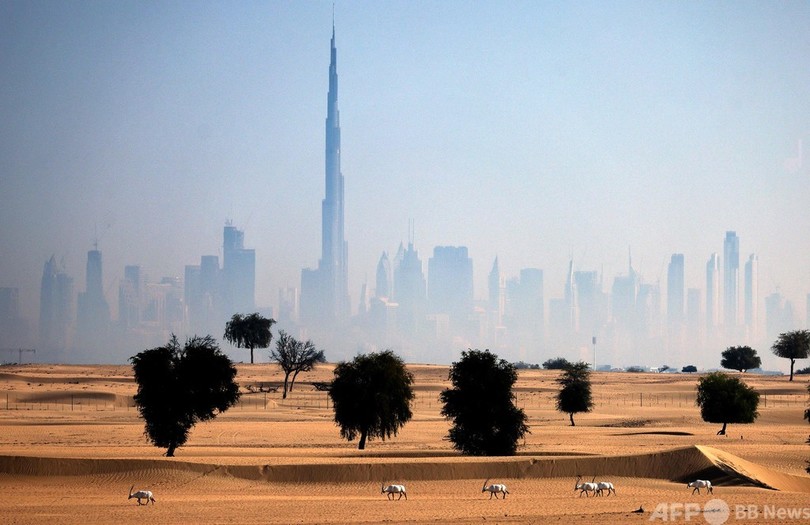 ケチャップから電話まで 時代を刻んできた万博