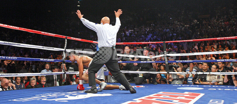 メイウェザーが4回KOで王座奪取