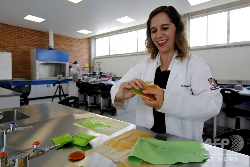 メキシコのサボテン、世界のプラスチック問題への解決策となるか？