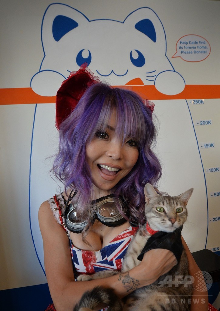 米ロサンゼルスに「猫カフェ」、期間限定オープン