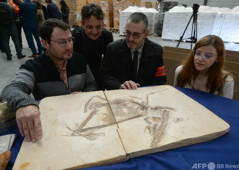 密輸された化石998点、仏からブラジルに返還