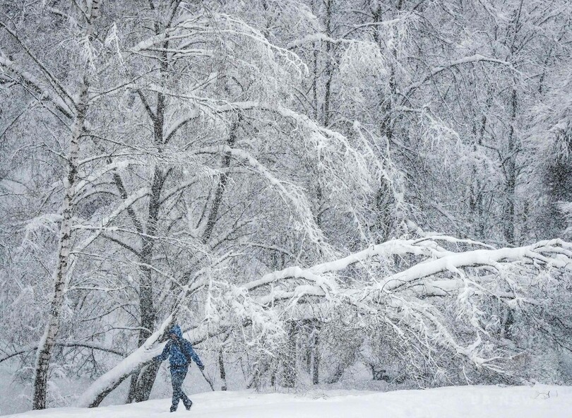 モスクワで観測史上最大の大雪、1人死亡 1日で43センチ