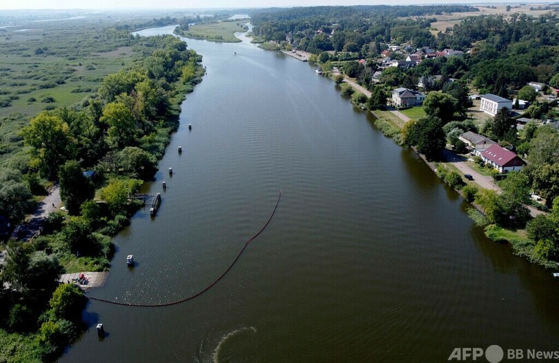 オーデル川で魚大量死、死骸100トン回収 ポーランド