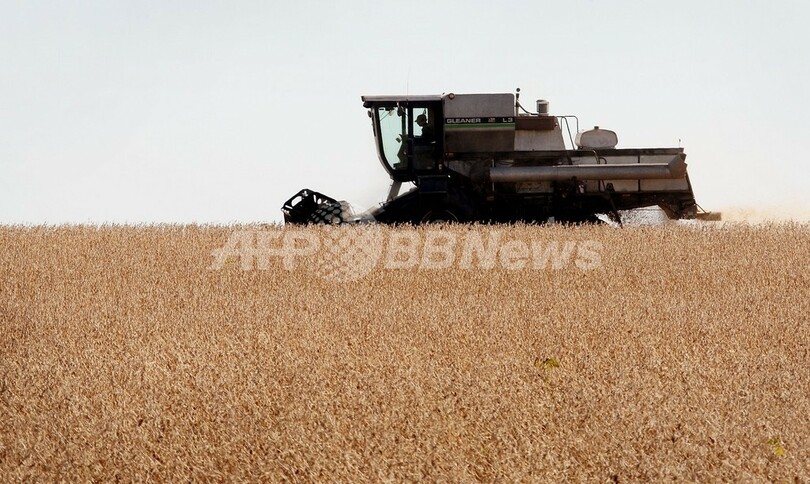 2008年、米国の小麦・大豆作付けは増加の見通し アナリスト予想