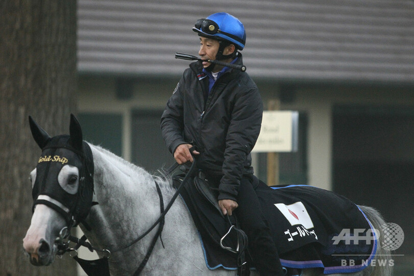 【特集】凱旋門賞、出走した歴代の日本馬