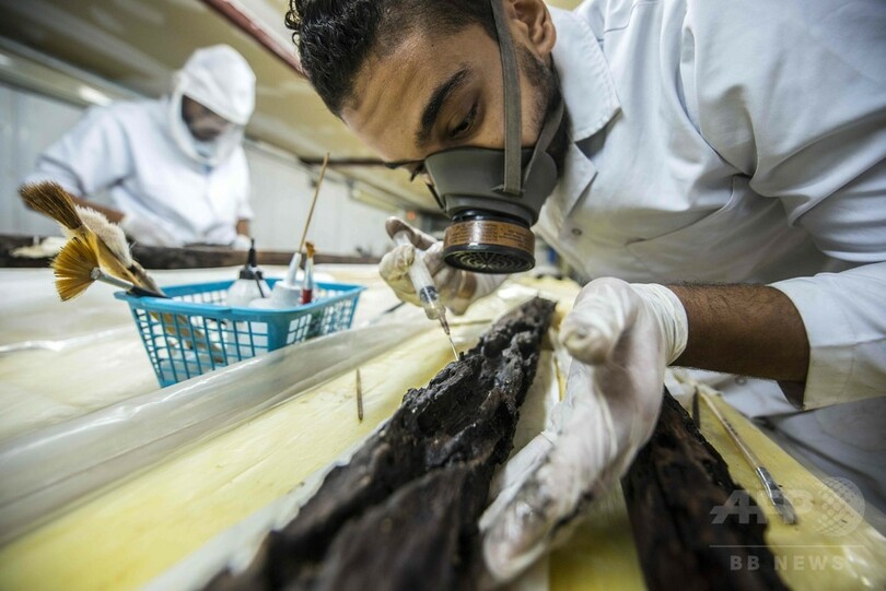 古代エジプト木造船に金属部品、初めて確認