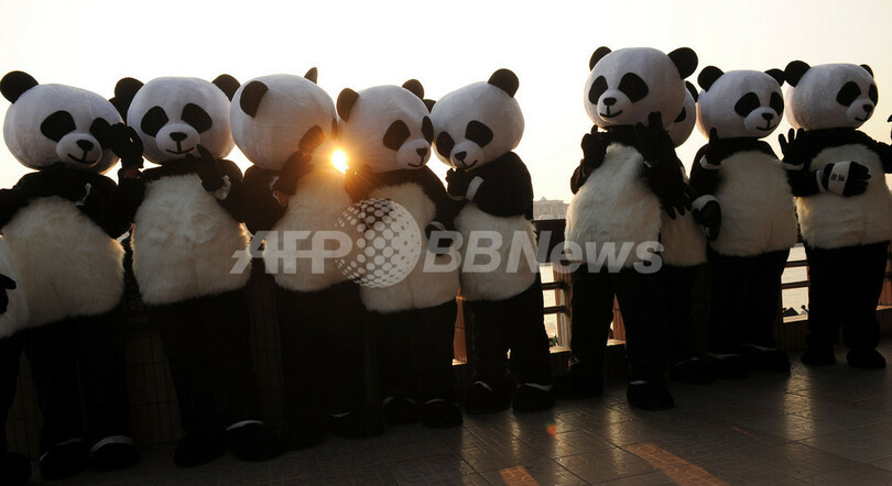 「世界パンダ大使」懸け着ぐるみ対決