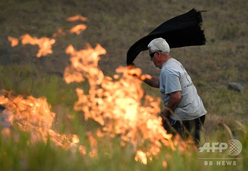 大麻草守ろうと「迎え火」か、新たな森林火災起こした男を逮捕 豪