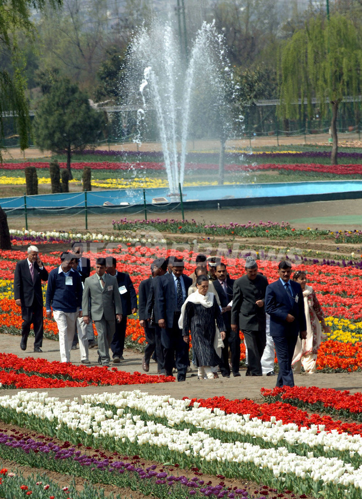 アジア最大のチューリップ園、インド・カシミール地方にオープン