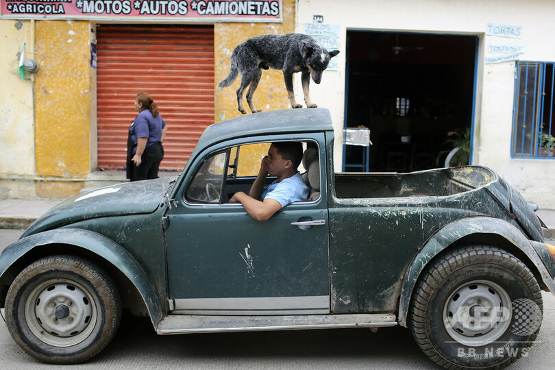 ナチスの象徴と並ぶビートルの写真、VW メキシコ代理店との契約打ち切り