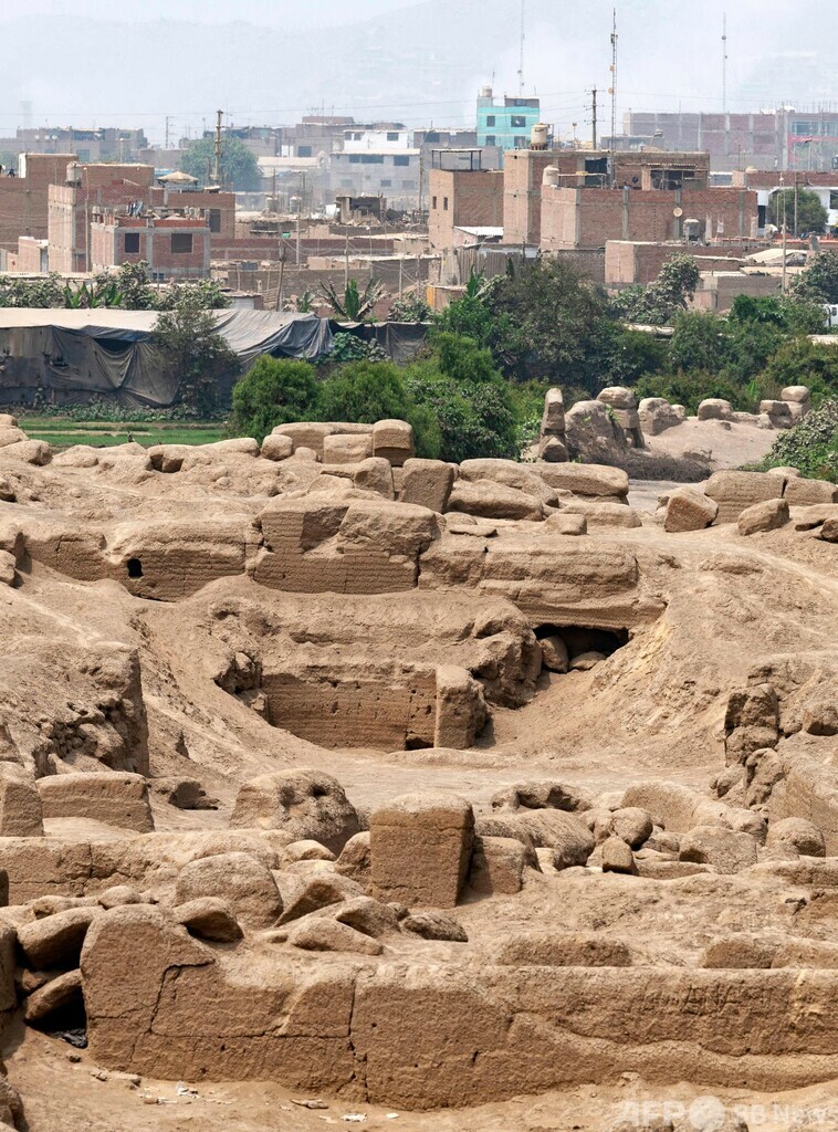 縄で縛られたミイラ発見 800～1200年前に埋葬か ペルー