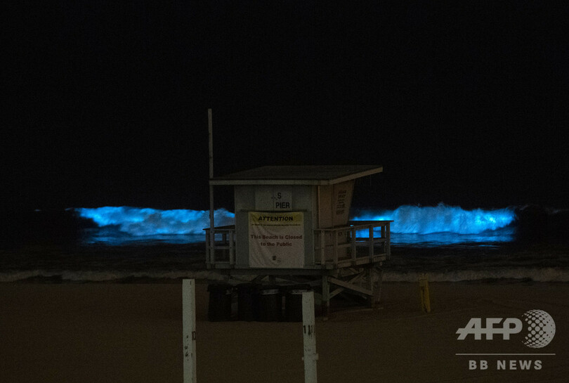【今日の1枚】砂浜にきらめき、幻想的な青い波