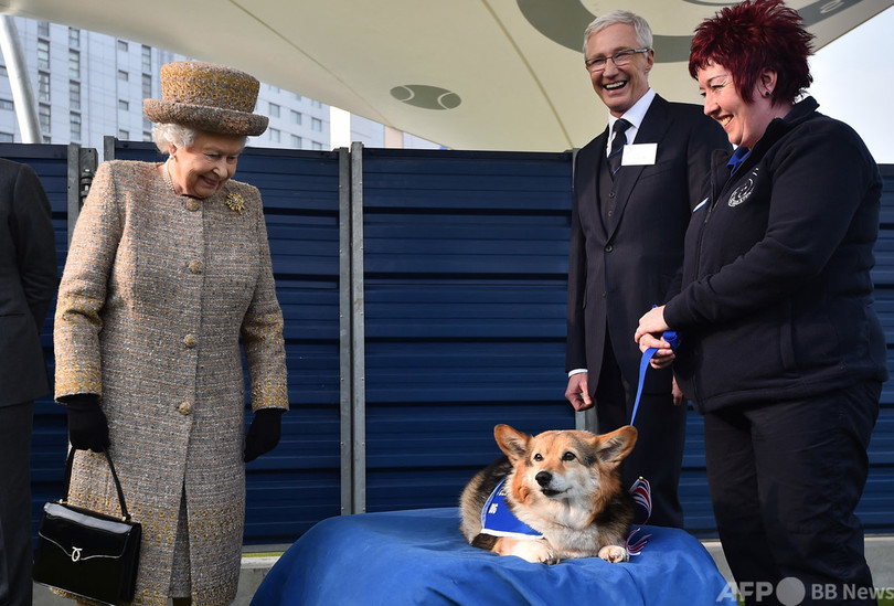 エリザベス英女王に新しい子犬、英紙報道 写真2枚 国際ニュース：AFPBB 