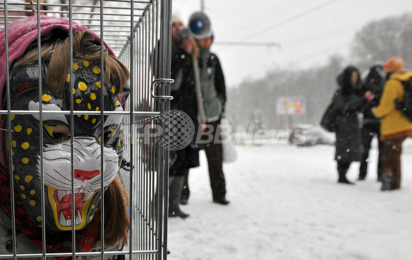 子どもも不思議顔、ウクライナの動物愛護団体