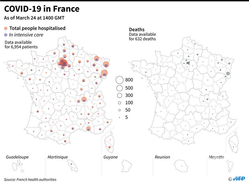 仏の新型コロナ死者、1300人超える