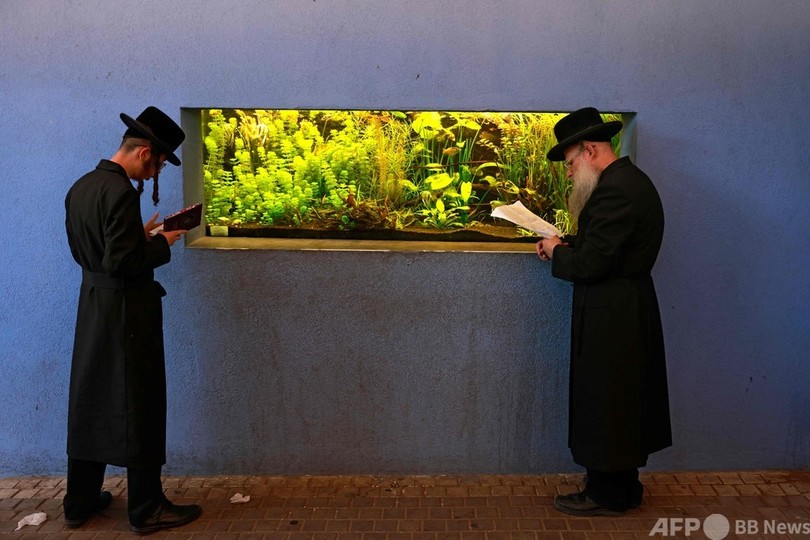 【今日の1枚】水槽の前で清めの祈り、ユダヤ教の「タシュリフ」 イスラエル