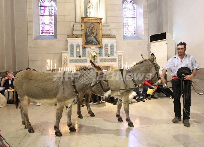 動物たちにも神の祝福を、フランス