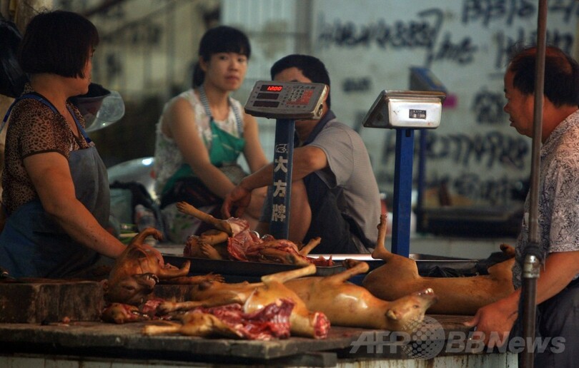 中国「犬肉祭」に抗議、地元住民反発で取引量増も