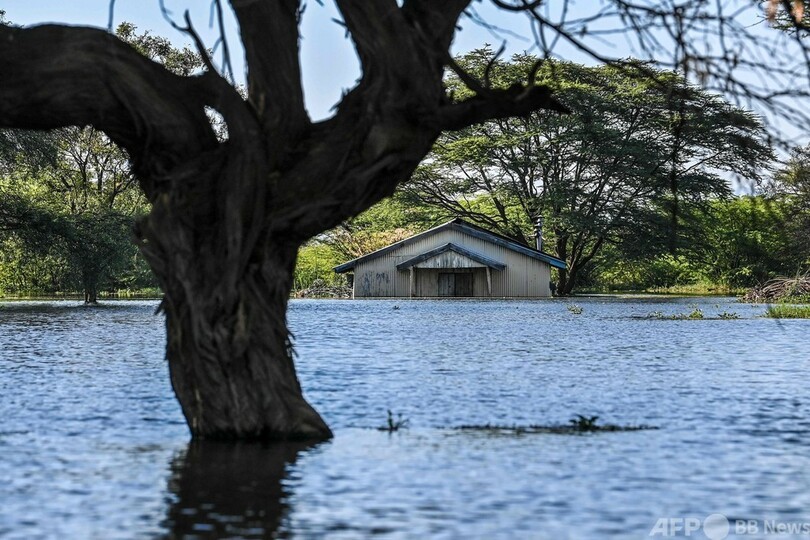 湖にのみ込まれる村、記録的水位上昇で ケニア・リフトバレー