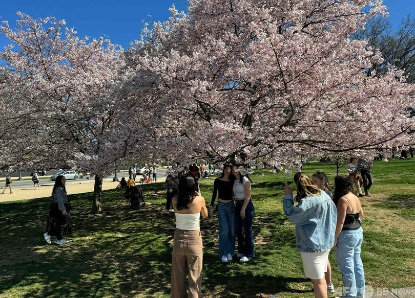 米首都ワシントンに春の訪れ