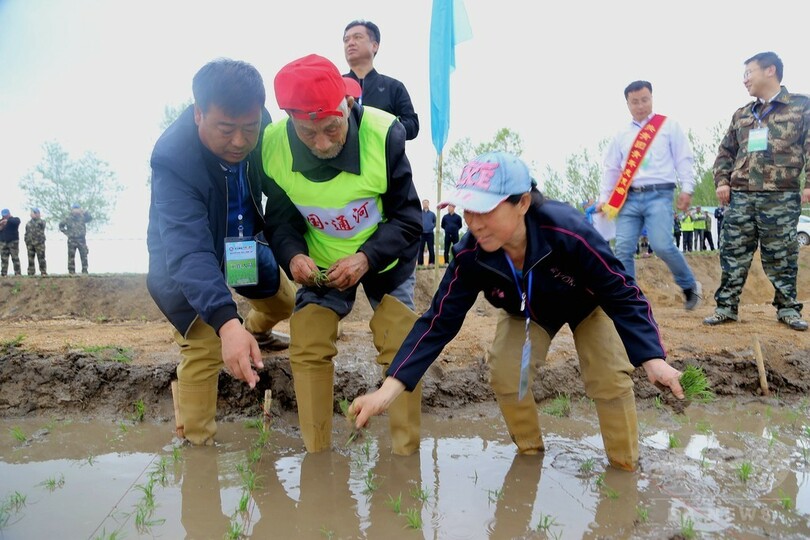 2017人で田植え、ギネス世界記録更新 中国