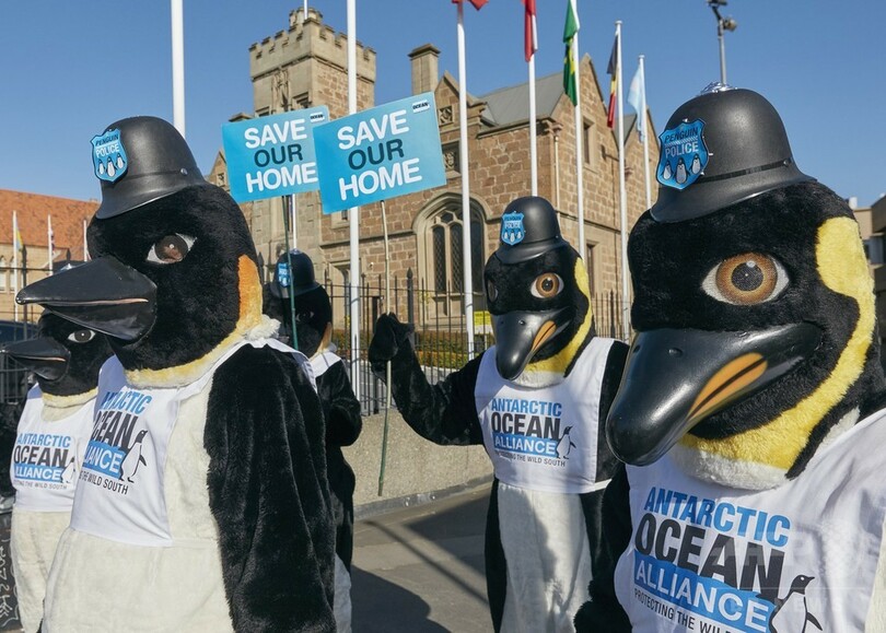 ペンギンに扮して南極保護をアピール、豪