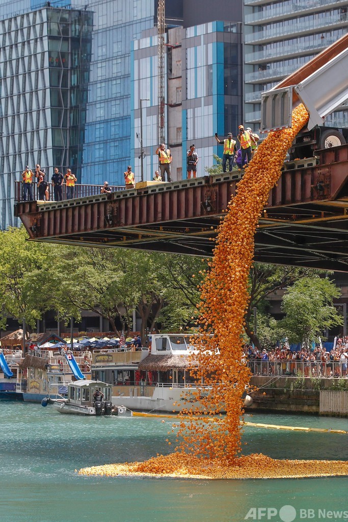 【今日の1枚】シカゴ川にゴム製アヒル、スペシャルオリンピックスを支援