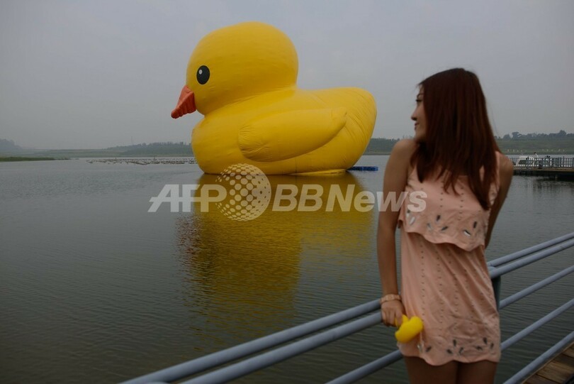 巨大アヒル、本物がついに中国初登場！ただし観覧は有料