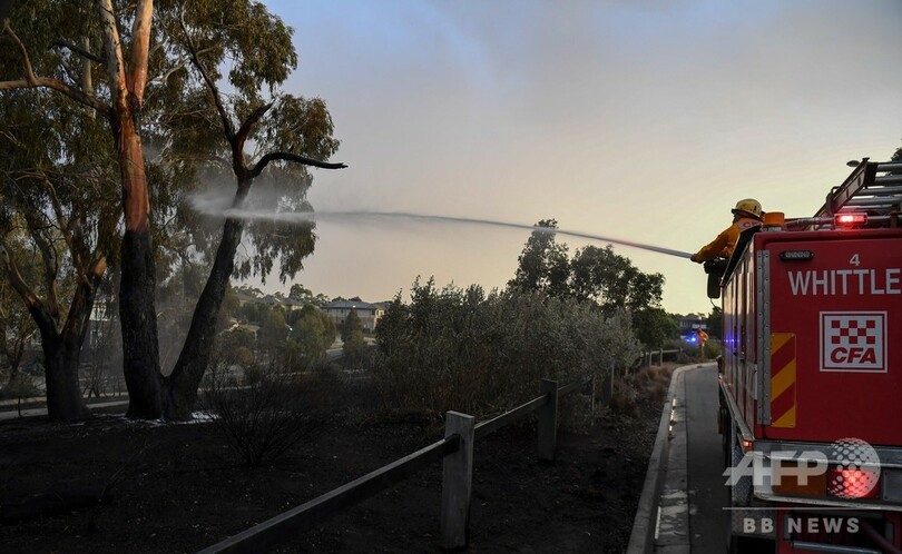 オーストラリア森林火災、沿岸の観光地に4000人 消防が特別救助隊