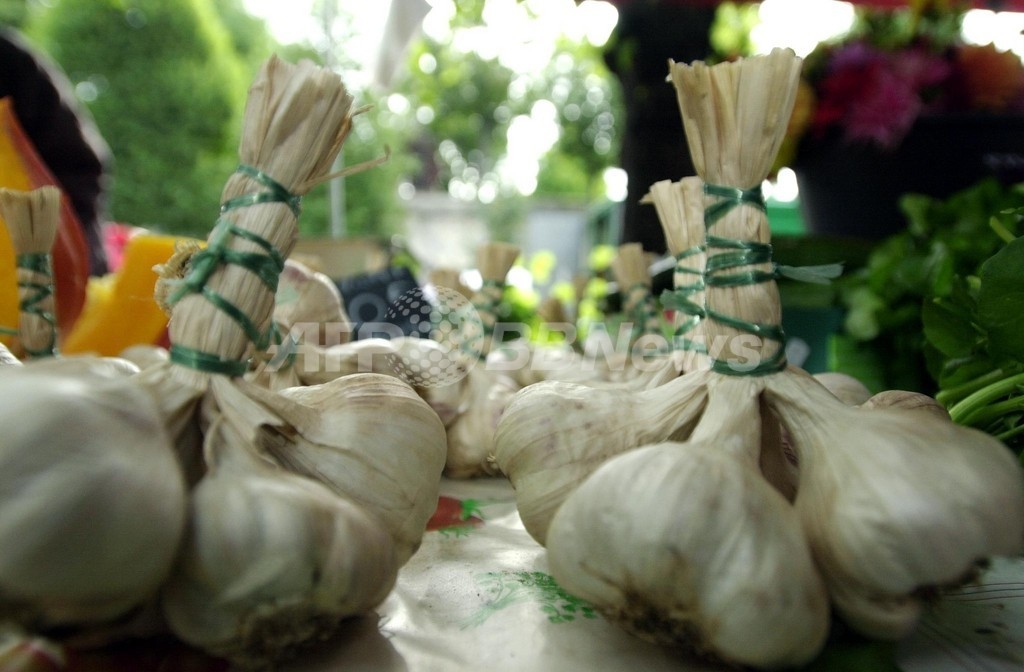 にんにくの心臓血管疾患への効果を科学的に証明 米研究報告