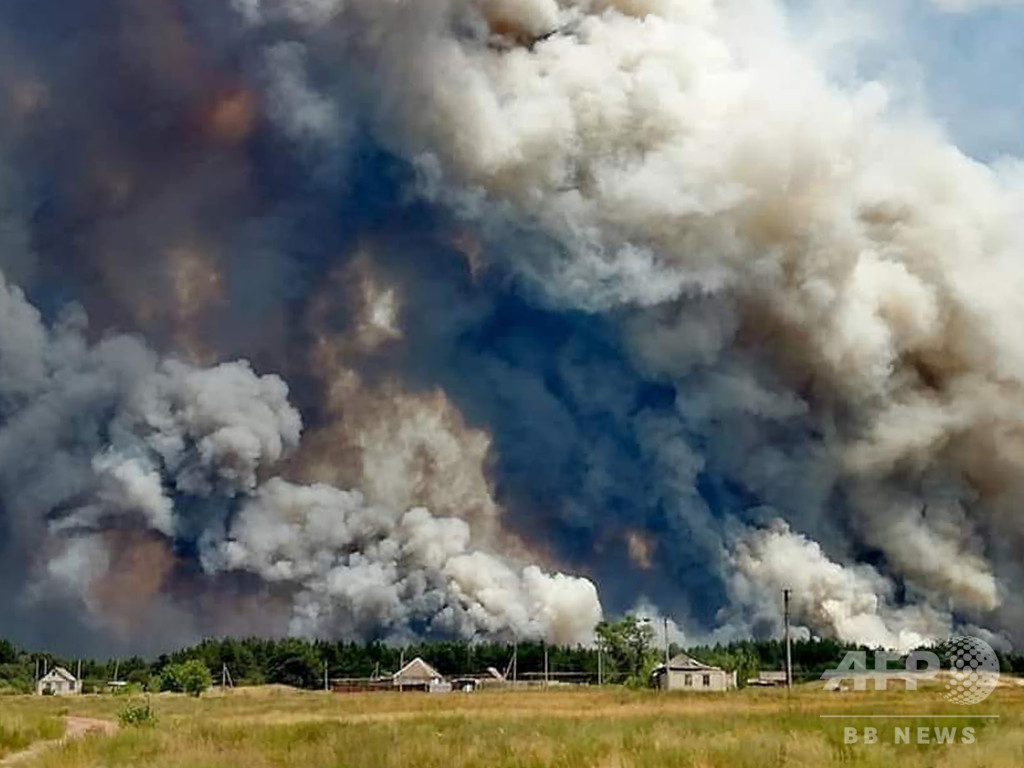 ウクライナ東部で森林火災 6人死亡 写真9枚 国際ニュース Afpbb News