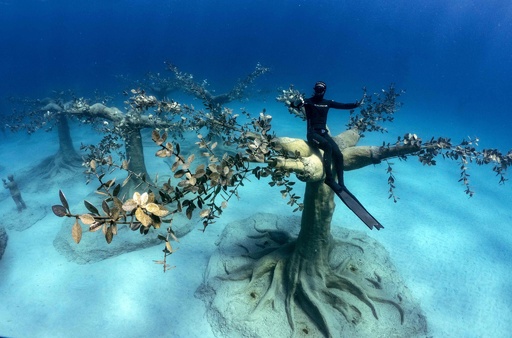海中に広がる彫刻美術館、ダイバーを魅了 キプロス 写真12枚 国際