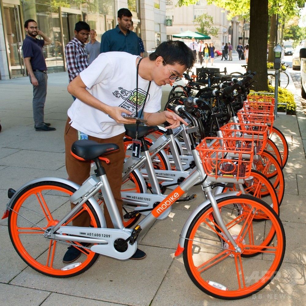 d カー シェア 自転車