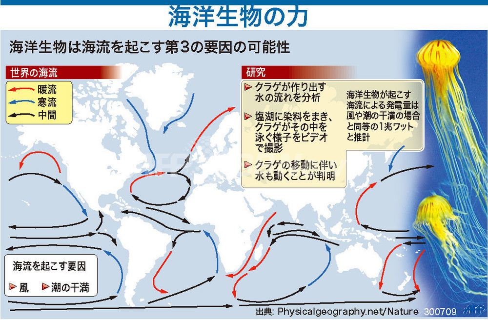 自転車は性機能に影響しないとの研究結果