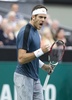 男子テニス、ABNアムロ世界テニストーナメント（ABN AMRO World Tennis Tournament 2013）、シングルス準決勝。試合中にガッツポーズを見せるファン・マルティン・デルポトロ（Juan Martin Del Potro、2013年2月16日撮影）。(c)AFP/ANP/KOEN SUYK