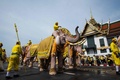タイ・バンコクの旧市街にある王宮近くで、ワチラロンコン国王に敬意を表すための行進に参列する象（2019年5月7日撮影）。(c)Jewel SAMAD / AFP