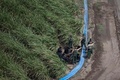 米テキサス州の対メキシコ国境付近で、不法移民らを捕らえた国境警備隊（2018年3月26日撮影、資料写真）。(c)AFP PHOTO / Loren ELLIOTT