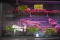 ベネズエラ首都カラカス近郊の市場で売られている肉（2021年8月5日撮影）。(c)Federico PARRA / AFP