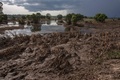 マラウイ南部で、洪水による被害を受けたトウモロコシ畑（2019年3月15日撮影）。(c)AMOS GUMULIRA / AFP