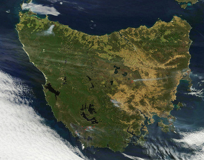 豪州南東部で「壊滅的」山火事、数州で住宅焼失の危険