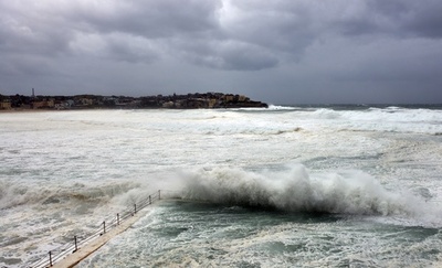 ホタテガイ漁のダイバー死亡、娘の目の前でサメに襲われる 豪州
