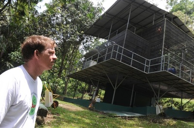 スマトラで新種オランウータン発見、大型類人猿で最大の絶滅危機