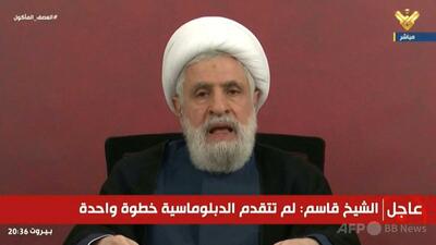 ヒズボラ指導者「双方が停戦しなければ」 イスラエルの攻撃に応戦誓う